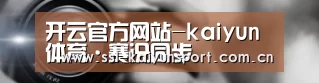 公司动态