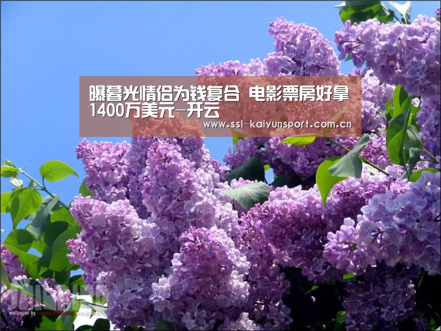 曝暮光情侣为钱复合 电影票房好拿1400万美元-开云(图2) 开云官网