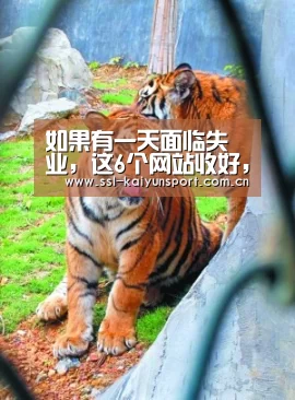 开云体育